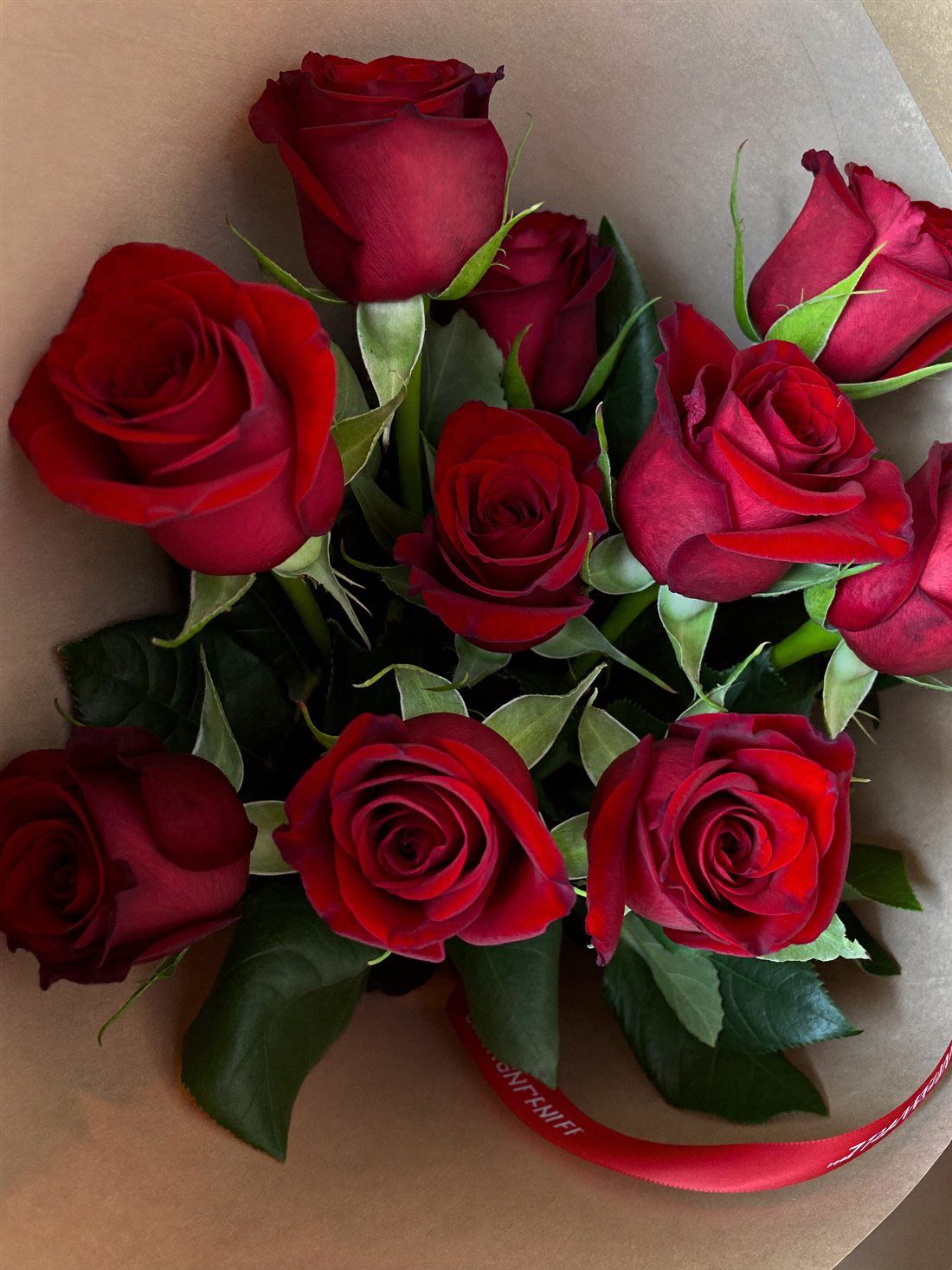 Illustration: close view of deep red roses with green leaves